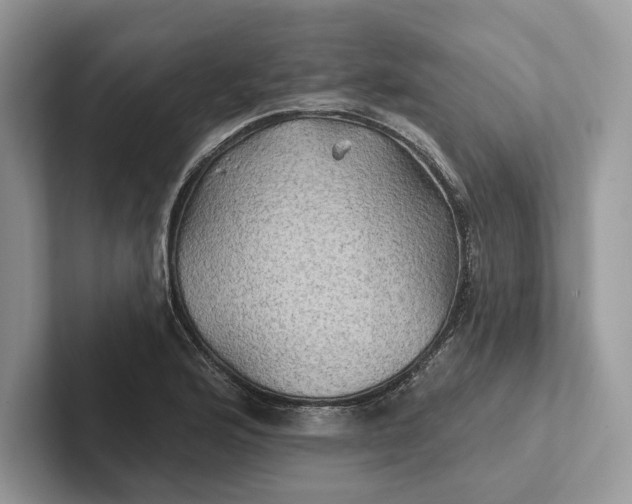 X0000101451176200807211306