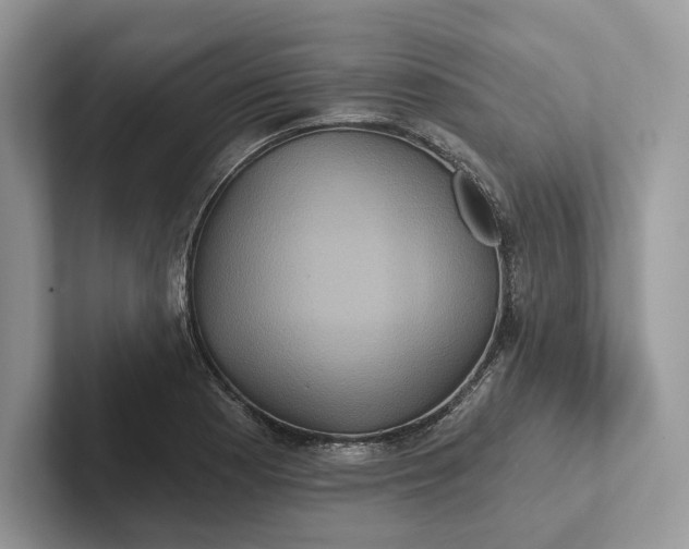 X0000101451177200807211306