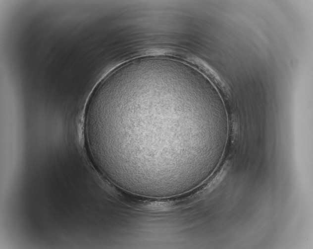 X0000101451178200807211306