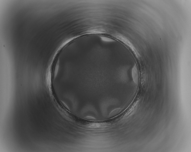 X0000101451179200807211306