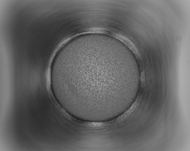 X0000101451180200807211306