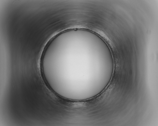 X0000101451181200807211306