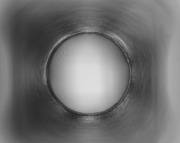 X0000101451182200807211306