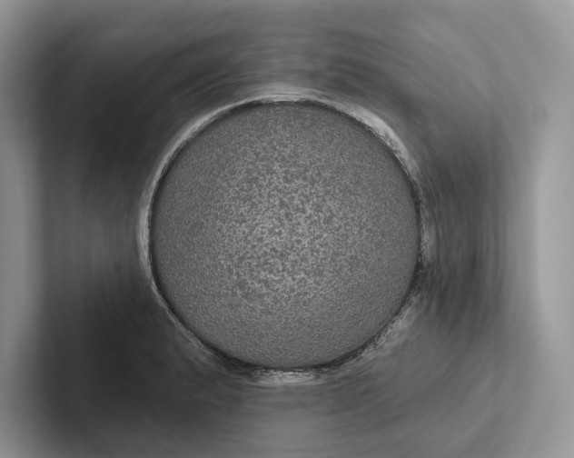 X0000101451183200807211306