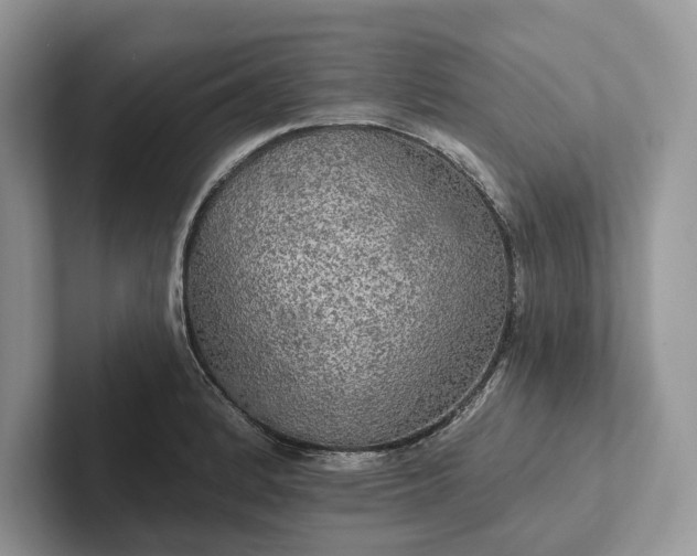 X0000101451184200807211306