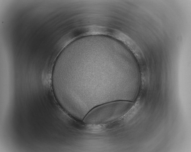 X0000101451185200807211306