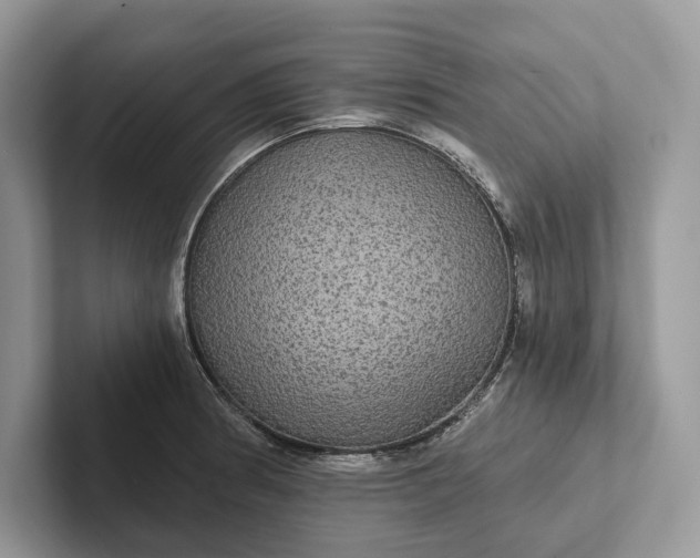 X0000101451186200807211306