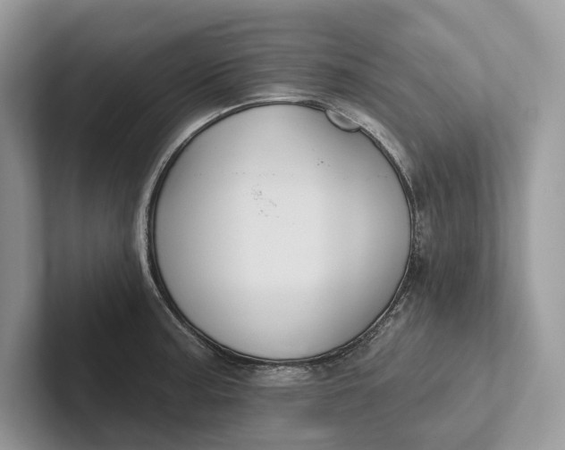 X0000101451187200807211306