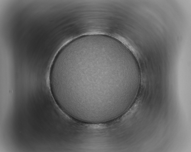 X0000101451189200807211306