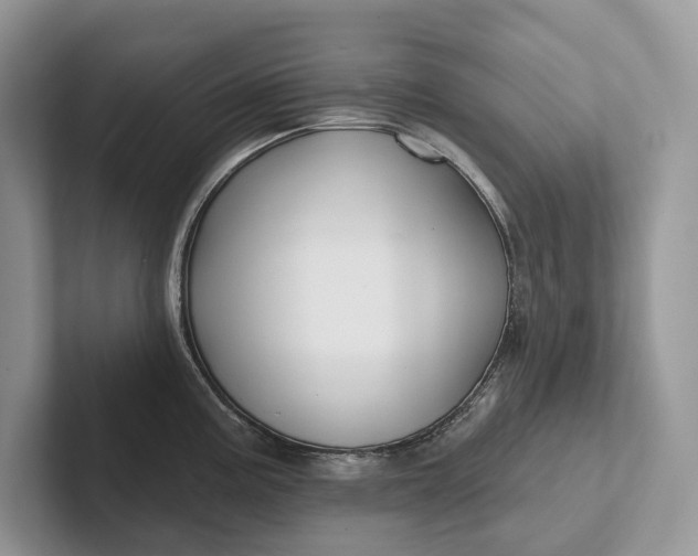 X0000101451195200807211306