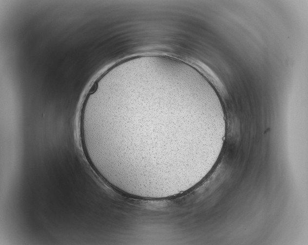 X0000101451196200807211306