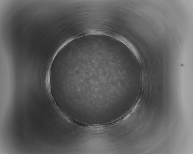 X0000101451198200807211306