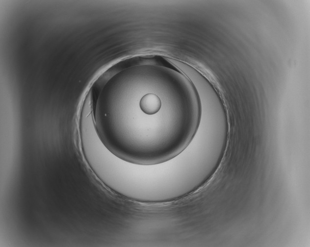 X0000101451200200807211306