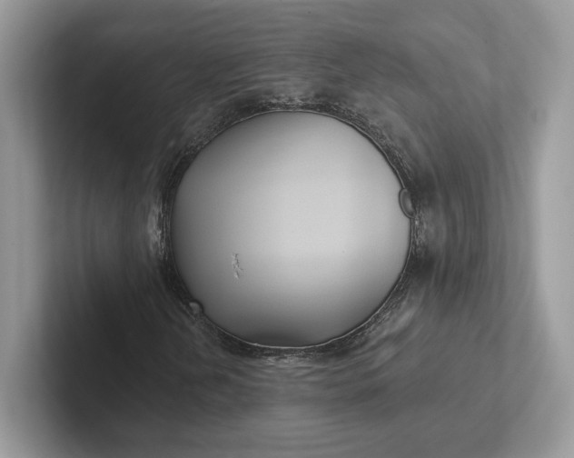 X0000101451202200807211305