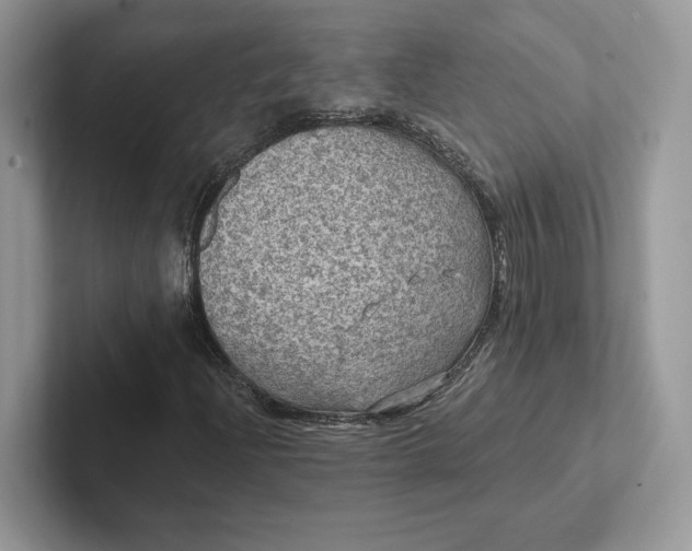 X0000101451204200807211306