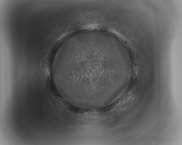 X0000101451206200807211306