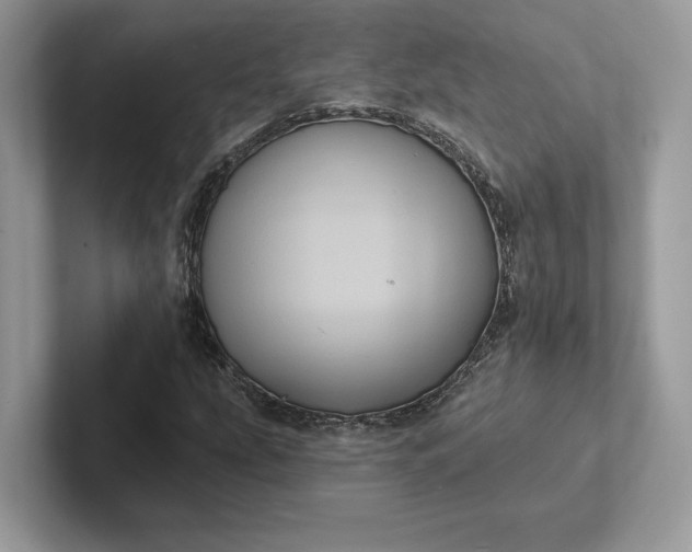 X0000101451207200807211306