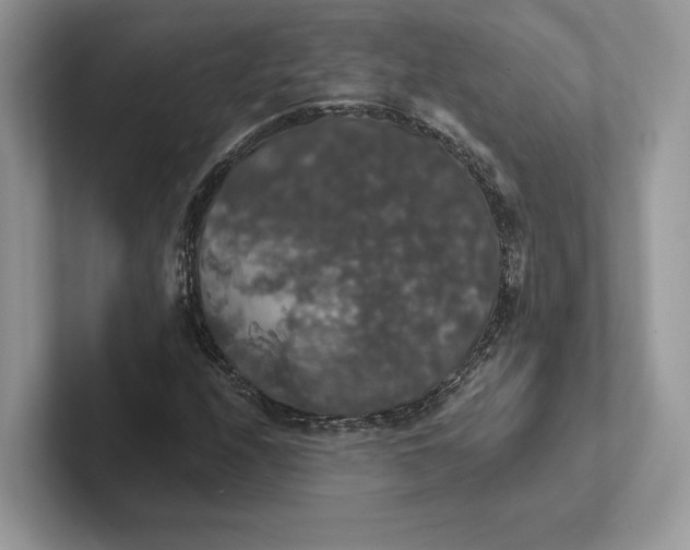 X0000101451208200807211306