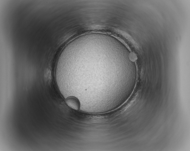 X0000101451209200807211306