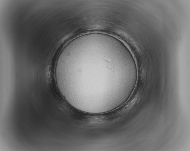 X0000101451210200807211306