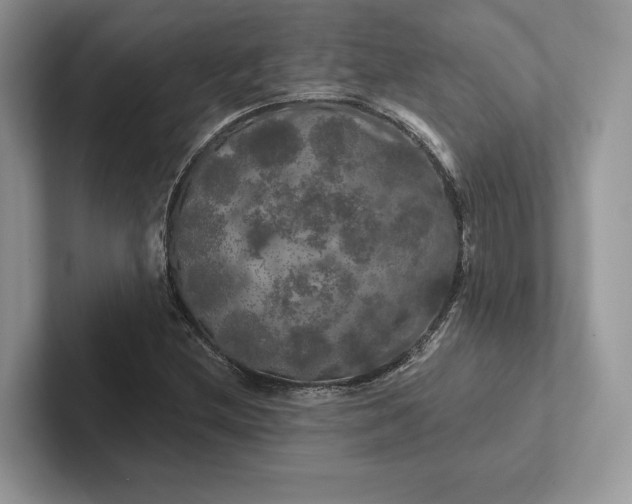 X0000101451212200807211306