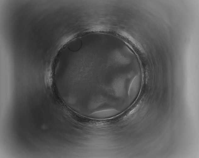 X0000101451213200807211306