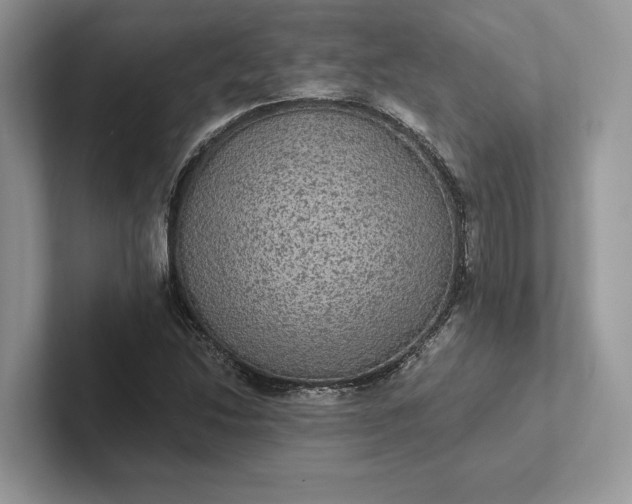 X0000101451214200807211306