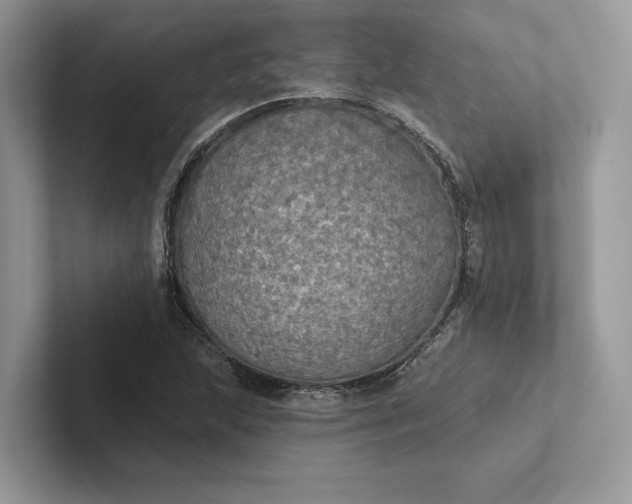 X0000101451215200807211306