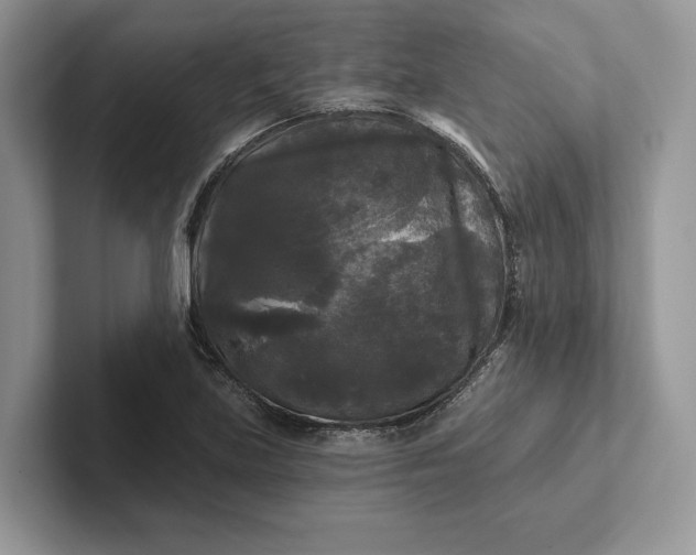 X0000101451219200807211306