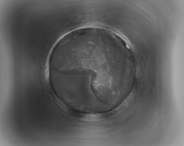 X0000101451224200807211306