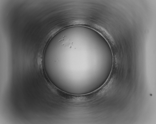 X0000101451225200807211306