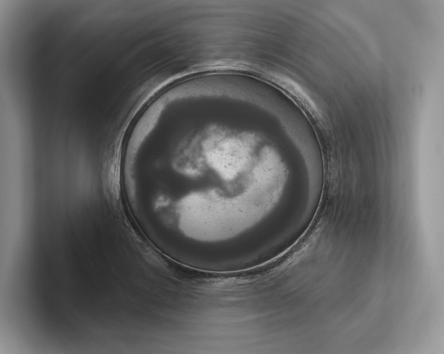 X0000101451228200807211306