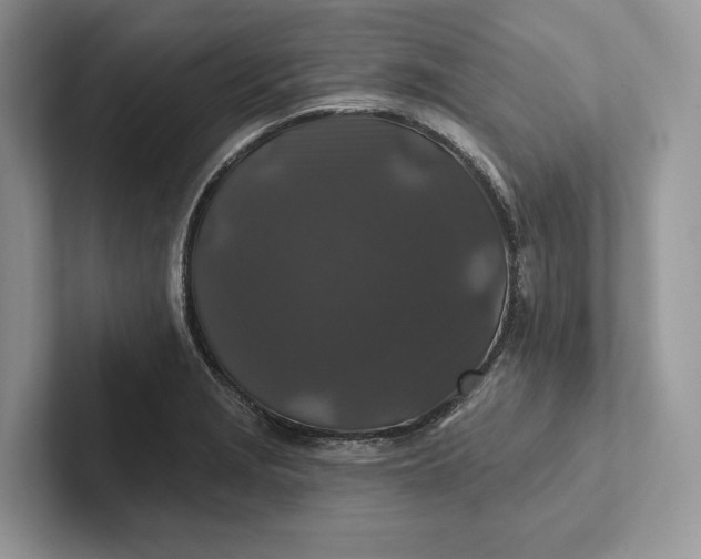 X0000101451229200807211306