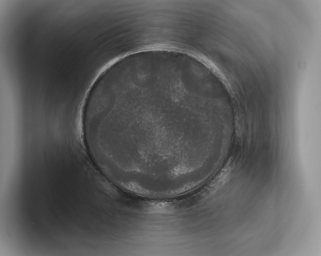 X0000101451230200807211306