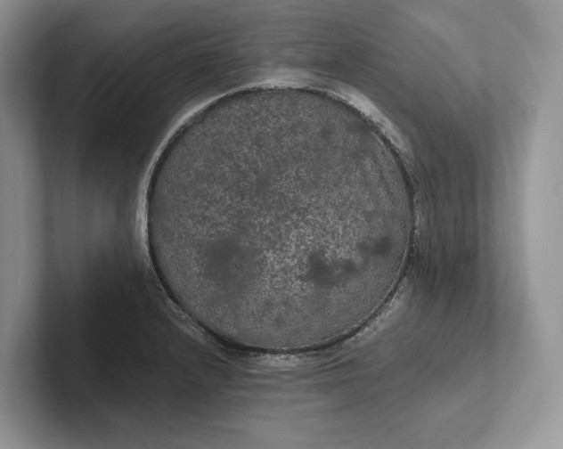 X0000101451232200807211306