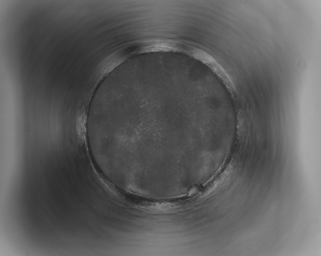 X0000101451233200807211306