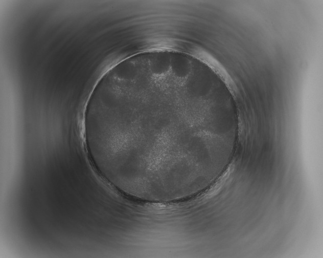 X0000101451234200807211306