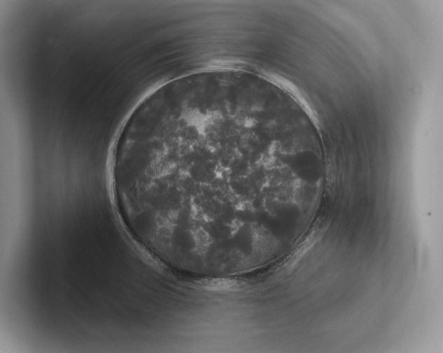 X0000101451235200807211306