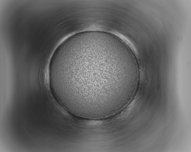 X0000101451238200807211306