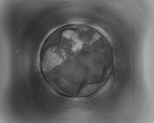 X0000101451240200807211306