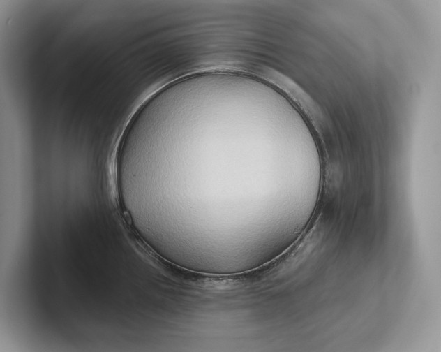 X0000101451242200807211306