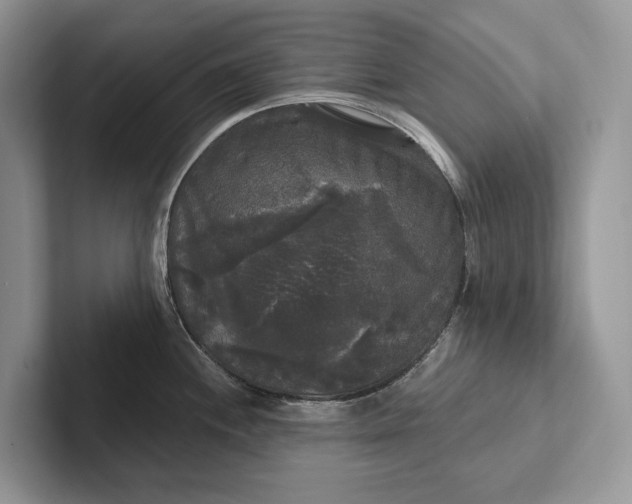 X0000101451244200807211306