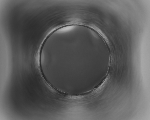 X0000101451246200807211306