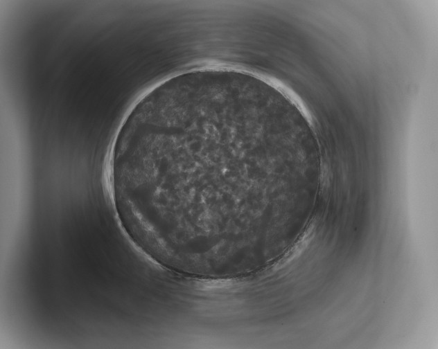 X0000101451247200807211306