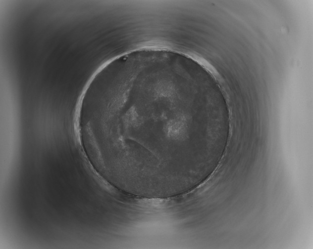 X0000101451248200807211306