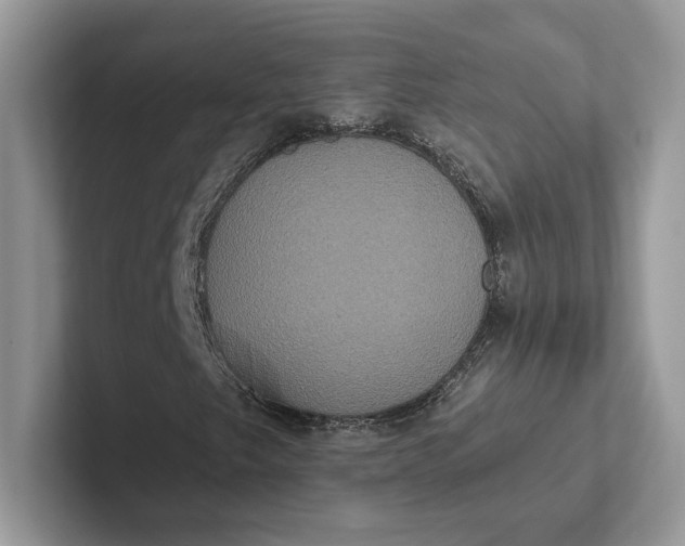 X0000101451249200807211305