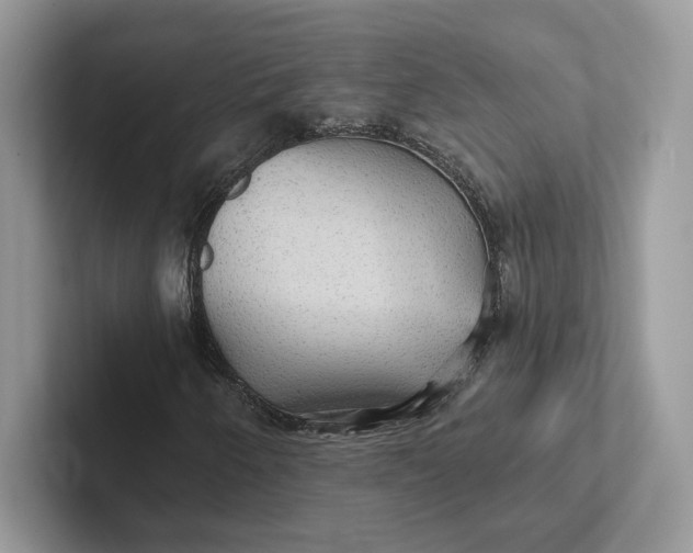 X0000101451250200807211305