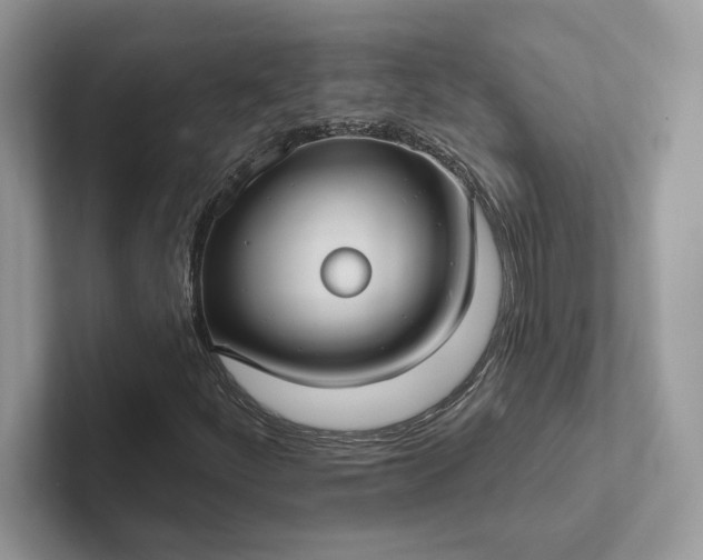 X0000101451252200807211305