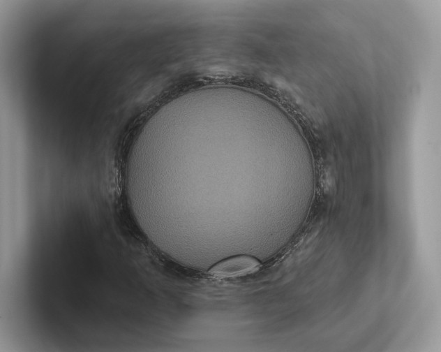 X0000101451253200807211305