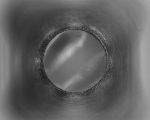 X0000101451254200807211305